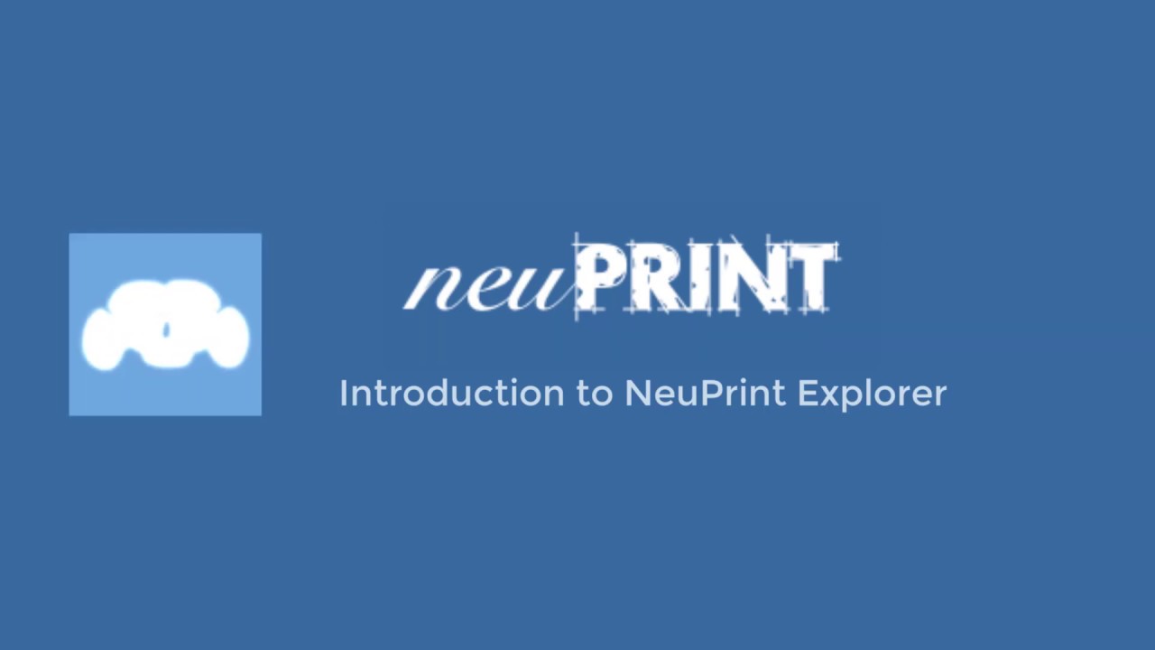 neuPrint interface
