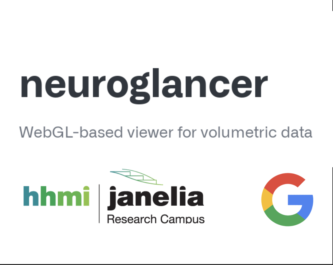 Neuroglancer