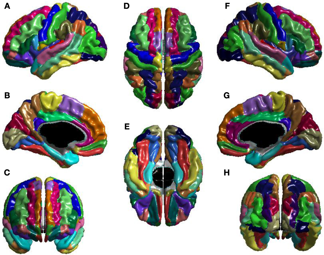 AAL atlas viewed from multiple perspectives. (A) Left lateral, (B) left medial, (C) anterior, (D) superior, (E) inferior, (F) right lateral, (G) right medial, and (H) posterior. Colors identify anatomical regions and are used only to distinguish region boundaries. The cortical parcellation is based primarily on anatomical landmarks such as gyri and sulci. Adapted from https://doi.org/10.3389/fnhum.2013.00845