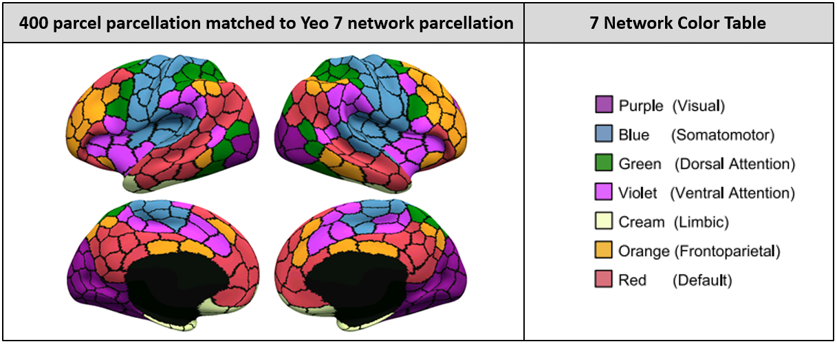 The Schaefer 2018 functional atlas. The cerebral cortex is divided into smaller regions based on patterns of functional connectivity while preserving the large-scale network organization originally identified by https://doi.org/10.1152/jn.00338.2011. Different colors correspond to different large-scale functional networks. Adapted from https://doi.org/10.1093/cercor/bhx179.