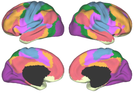 Yeo 7 resting-state networks