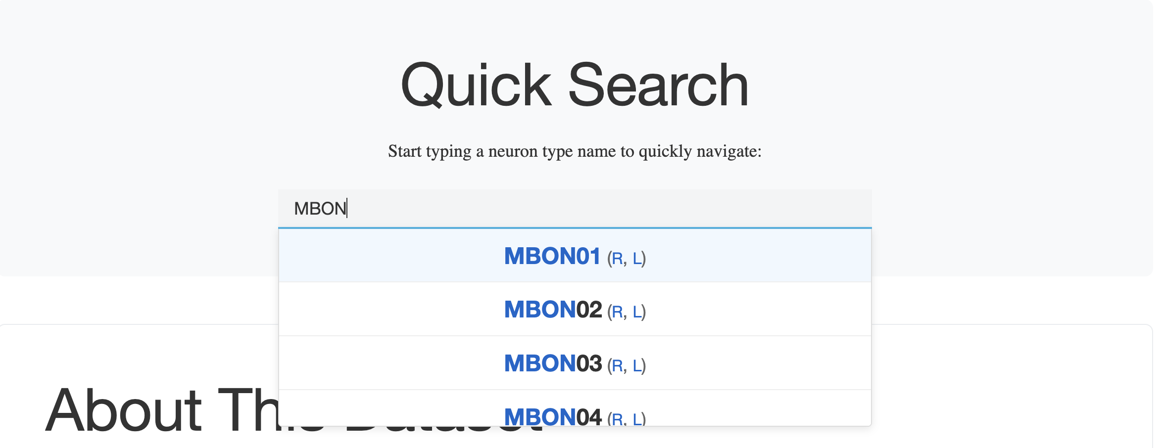 Searching for MBON cell types using Quick Search