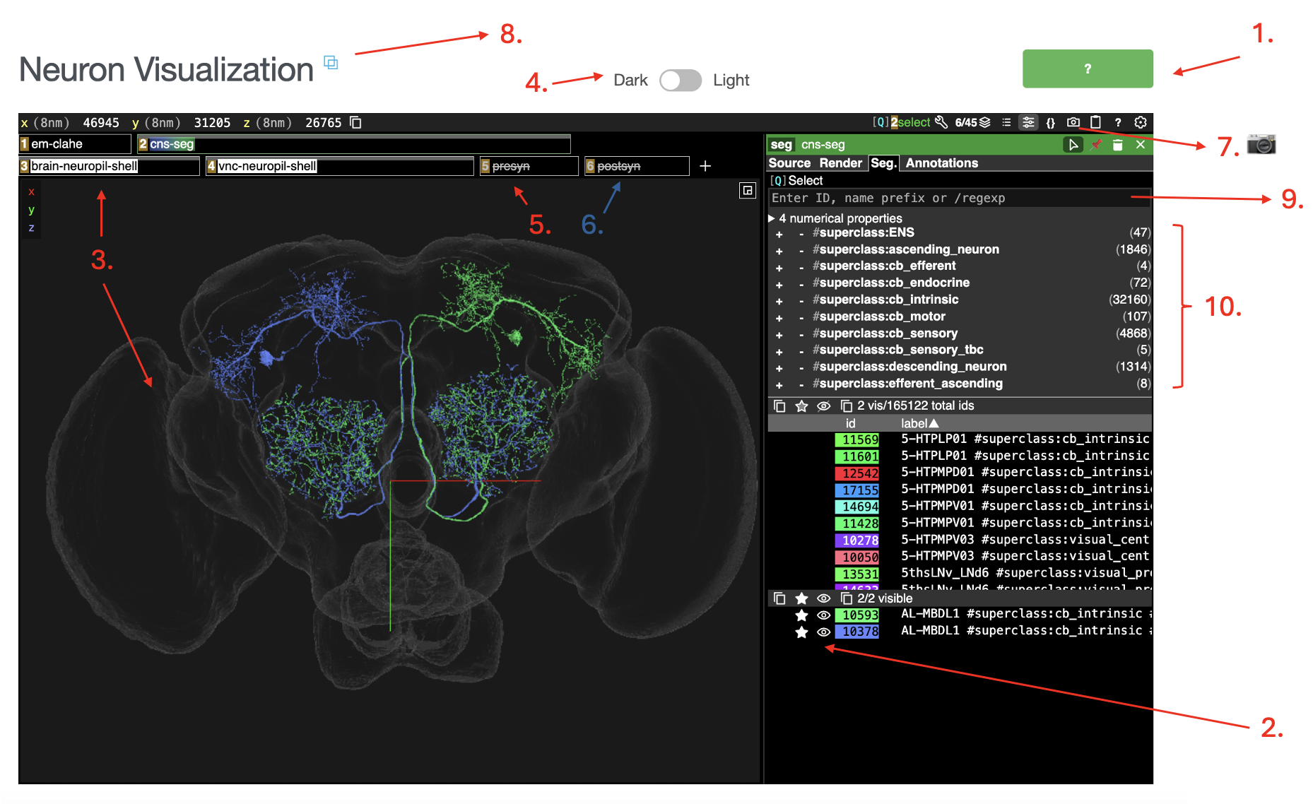 Annotated Neuroglancer interface embedded in the Cell Type Explorer